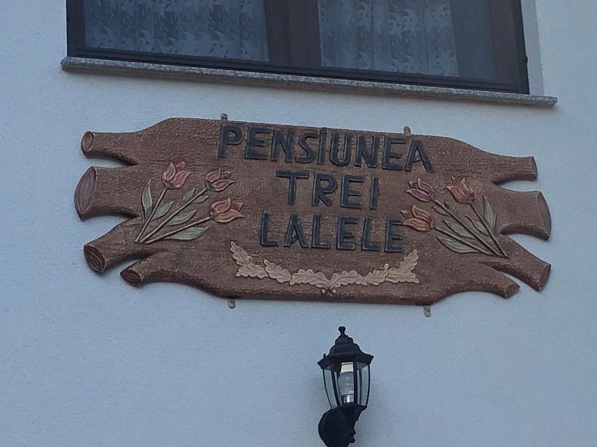 Pensiunea Trei Lalele Moisei Exterior photo